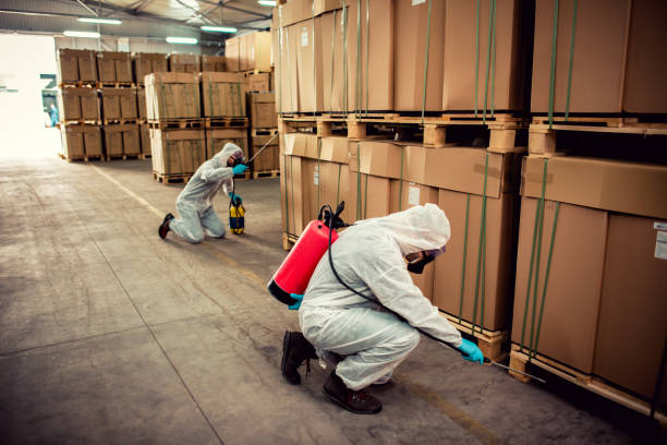 Best Cockroach Control Services  in Washburn, ND
