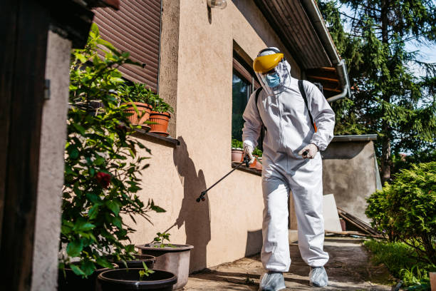 Best Cockroach Control Services  in Washburn, ND