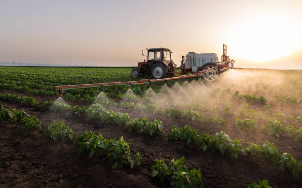 Professional Pest Control in Washburn, ND
