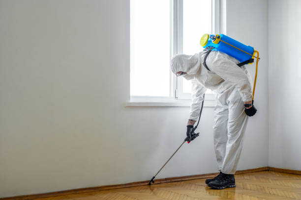 Best Flea Control Services  in Washburn, ND