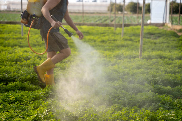 Flea Control Services in Washburn, ND