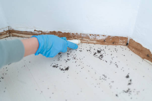 Best Wildlife Control Services  in Washburn, ND