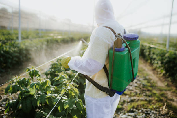 Best Emergency Pest Control  in Washburn, ND